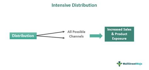 Intensive Distribution .